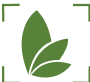 GrowerAdviser logo