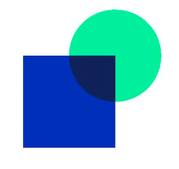 Baasic logo
