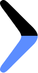 Boomerang Intelligence logo