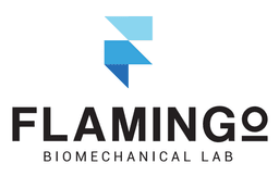 Flamingo Biomechanical Lab logo