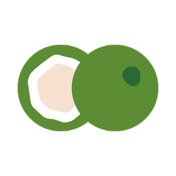 Coconut Silo logo