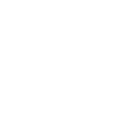 Versus OnChain logo